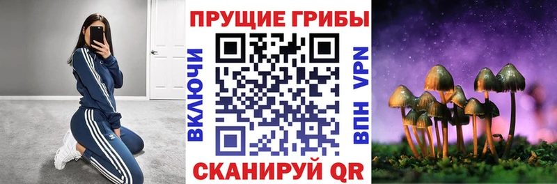 что такое наркотик  ссылка на мегу вход  Галлюциногенные грибы мицелий  Заполярный 
